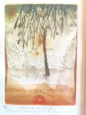 René Carcan - Uiterst zeldzame oplage 1/2 - René Carcan - "De wilg in de tuin" (1990) kopen? Bied vanaf 200!