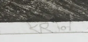 Krin Rinsema - Droge naald, Zonder titel - Ingelijst (Groot) kopen? Bied vanaf 1!