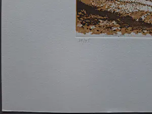 Simon Koene - gesigneerde ets kopen? Bied vanaf 79!