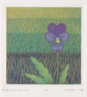Joop Vegter - Mezzotint, Viooltje verkocht voor € 50!
