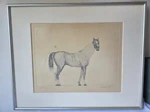 Aat Verhoog - Paard kopen? Bied vanaf 50!