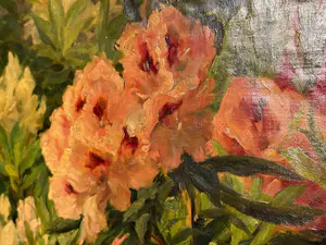 Léonie Mottart-van Marcke - Chrysanthèmes kopen? Bied vanaf 949!