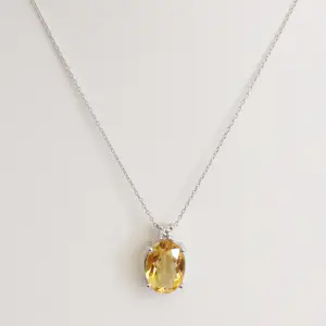 Hanger met ketting kopen? Bied vanaf 930!
