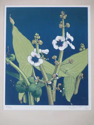 Jan Voerman (jr.) - Bloeiende plant - Kleurenlitho kopen? Bied vanaf 75!