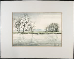 Sjoerdtje Mulder-Hak - Aquarel, Wilgen aan de Kolk kopen? Bied vanaf 35!