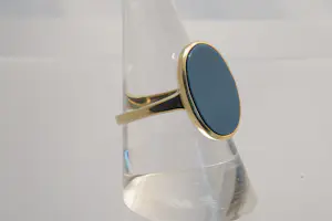 62 - 14 karaats geelgouden zegel ring gezet met ovalen blauwe steen kopen? Bied vanaf 265!