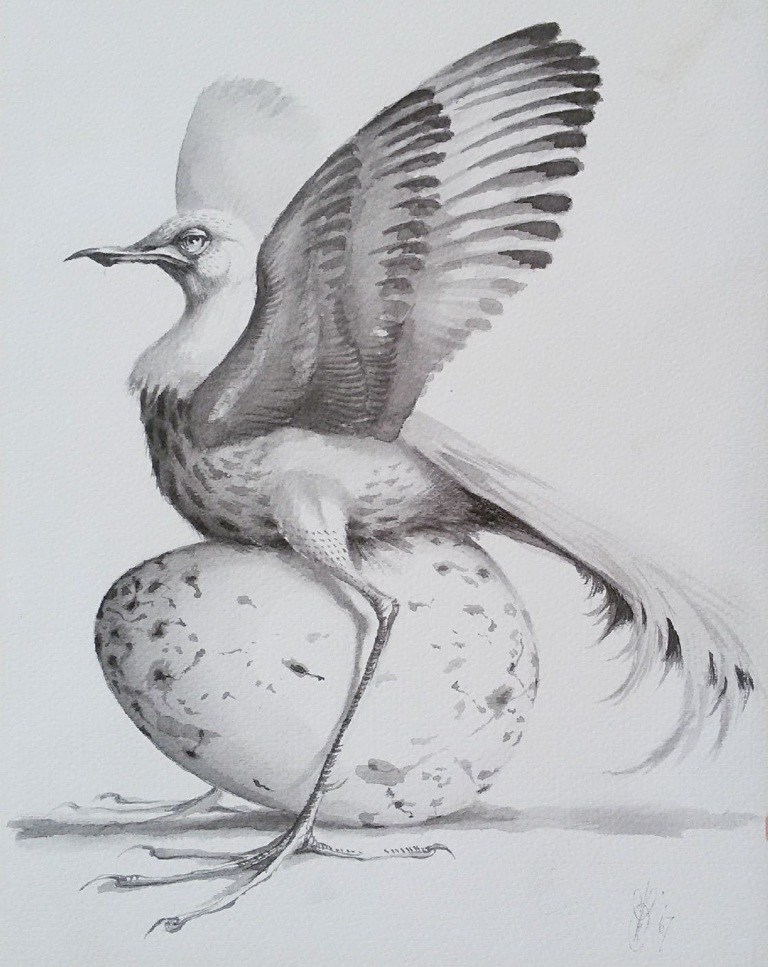 Peter Vos - Struisvogeltjeachtige, tekening verkocht voor € 325!