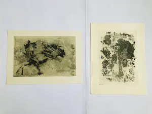 Wouter van Heusden - Kavel van twee etsen ( 1975 en 1976) kopen? Bied vanaf 55!