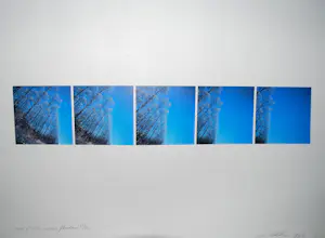Ger Dekkers - Flevoland, Wood of silver poplars - incl.boekwerk kopen? Bied vanaf 65!