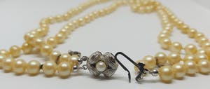 Zoetwaterparel Collier 45cm Zilveren Slotje 835 kopen? Bied vanaf 75!
