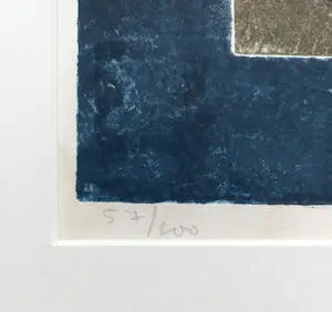 Jan Montyn - La cage de temps II, aquatint ets (netjes ingelijst) kopen? Bied vanaf 10!