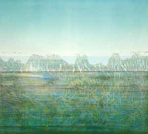 Willem de Vries - houtsnede | 'Naardermeer' | 1986 verkocht voor € 75!