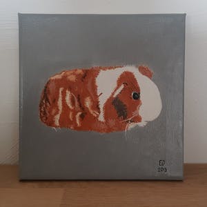 Niet of onleesbaar gesigneerd - Cavia Kiwi kopen? Bied vanaf 1!