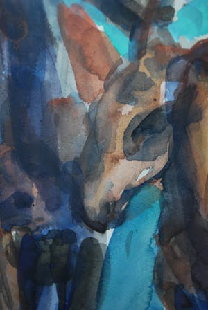 Niet of onleesbaar gesigneerd - Paard en veulen - aquarel 1959 kopen? Bied vanaf 10!