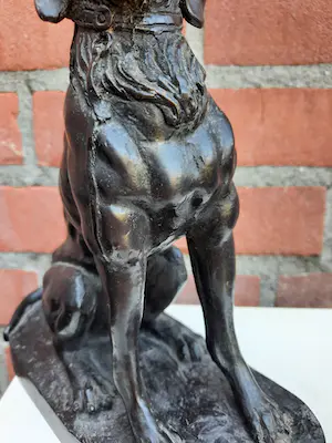 Niet of onleesbaar gesigneerd - Hond in brons kopen? Bied vanaf 1!