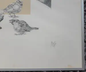 Peter Vos - Oude man met mussen kopen? Bied vanaf 150!