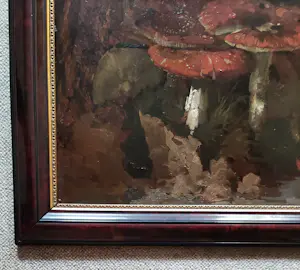 Theo Goedvriend - Paddenstoelen kopen? Bied vanaf 270!