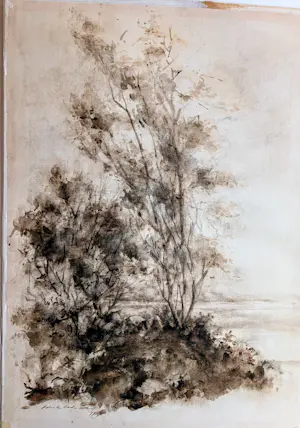 Sierk Schroder - Landschap met bomen kopen? Bied vanaf 80!