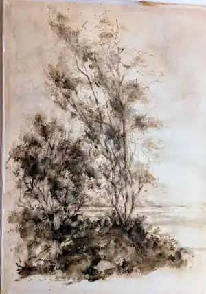 Sierk Schroder - Landschap met bomen kopen? Bied vanaf 80!