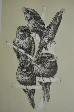 Peter Vos - 'Podargus Strigoide' verkocht voor € 180!