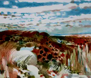 Nicolaas Wijnberg - Litho: duinlandschap - 1984 verkocht voor € 79!