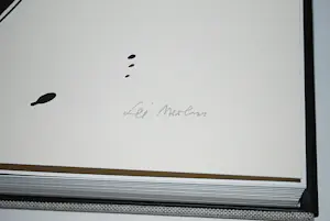 Lei Molin - hardcover in cassette, met zeefdruk 178/250, handgesigneerd kopen? Bied vanaf 150!