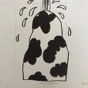Reinier Lucassen - Lithografie - Gesigneerd - "Spetter spetter..." - 1966 - 22/50 kopen? Bied vanaf 45!