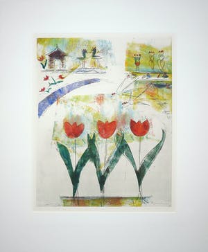 Lia van Leeuwen - Kleurenets, 3 tulpen kopen? Bied vanaf 1!