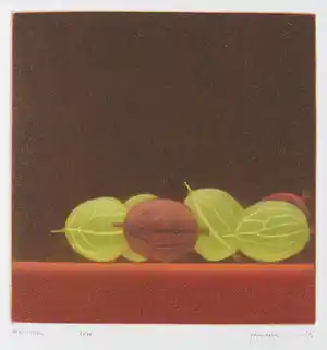 Joop Vegter - Mezzotint, Kruisbessen verkocht voor € 50!