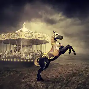 Sarolta Ban - 'Geboren om wild te zijn' (2014) kopen? Bied vanaf 75!