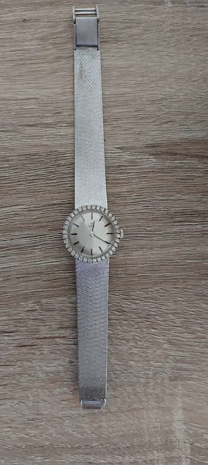 18K Goud - 18kt Witgouden Ebel horloge met 36 briljantjes kopen? Bied vanaf 1350!
