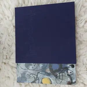 Theo Wolvecamp - Gesigneerde luxe monografie incl 2 gesigneerde zeefdrukken kopen? Bied vanaf 750!