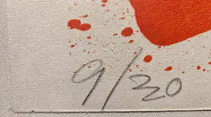 Jan Cremer - 'Tulpen', ingelijste zeefdruk met kleine oplage uit 1981. kopen? Bied vanaf 330!