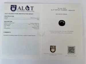 18 Kt witgouden oorbellen met rode robijnen ca 4,00 crt  en diamanten kopen? Bied vanaf 1400!