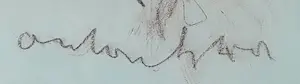 Anton Heyboer - wasco/krijt tekening - gesigneerd middenonder kopen? Bied vanaf 159!