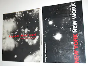 Raquel Maulwurf - 2 boeken: 2010 & 2011 kopen? Bied vanaf 40!