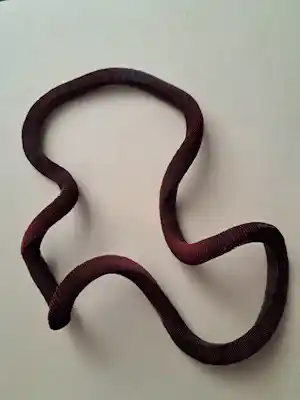 Nel Linssen - collier verkocht voor € 340!