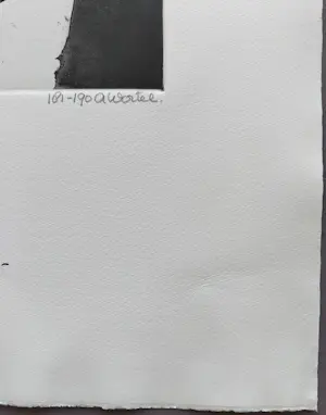 Ans Wortel - uitgangspunt voor vlinders - gesigneerde ets kopen? Bied vanaf 69!