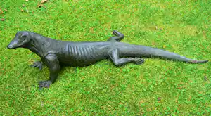 Peter Petersen - Komodo Varaan (uniek!) (IN PRIJS VERLAAGD!) kopen? Bied vanaf 2495!