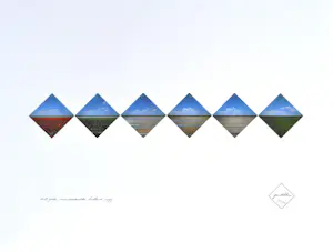 Ger Dekkers - Bulb-fields, Noordoostpolder, Holland - offset - 49x64 cm - 1979 kopen? Bied vanaf 50!