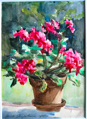 Aleid Slingerland - Bloeiende plant - verkocht voor € 70!