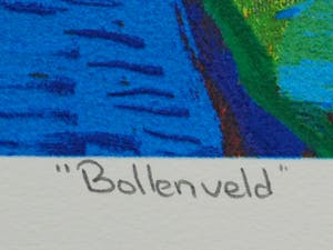 Jentsje Popma - Bollenveld kopen? Bied vanaf 50!