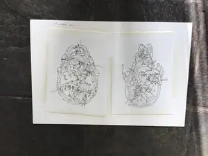 Niet of onleesbaar gesigneerd - Twee! kopen? Bied vanaf 1!