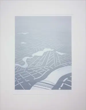 Jeroen Henneman - Litho, Nederlands landschap vanuit vogelvluchtperspectief kopen? Bied vanaf 1!