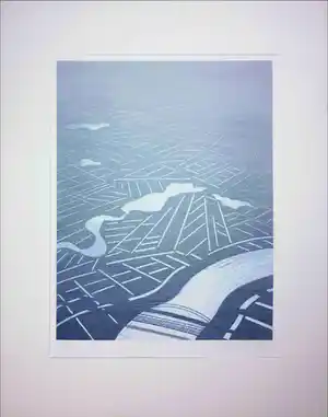 Jeroen Henneman - Litho, Nederlands landschap vanuit vogelvluchtperspectief verkocht voor € 192!