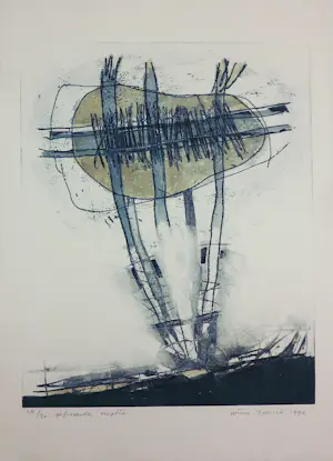 Wim Zurne - Zeefdruk, Lot van 9 grafische werken kopen? Bied vanaf 100!