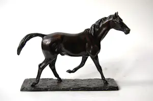 Irénée Rochard - Paard in draf kopen? Bied vanaf 1750!
