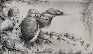 Jan Schonk - Twee ijsvogels kopen? Bied vanaf 50!