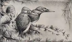 Jan Schonk - Twee ijsvogels verkocht voor € 50!