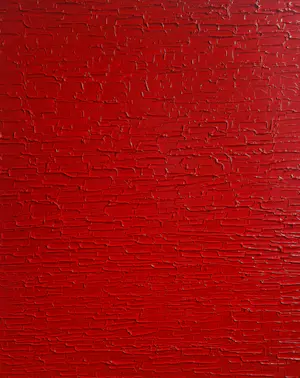 Bruno CANTAIS - Fashion Red kopen? Bied vanaf 150!